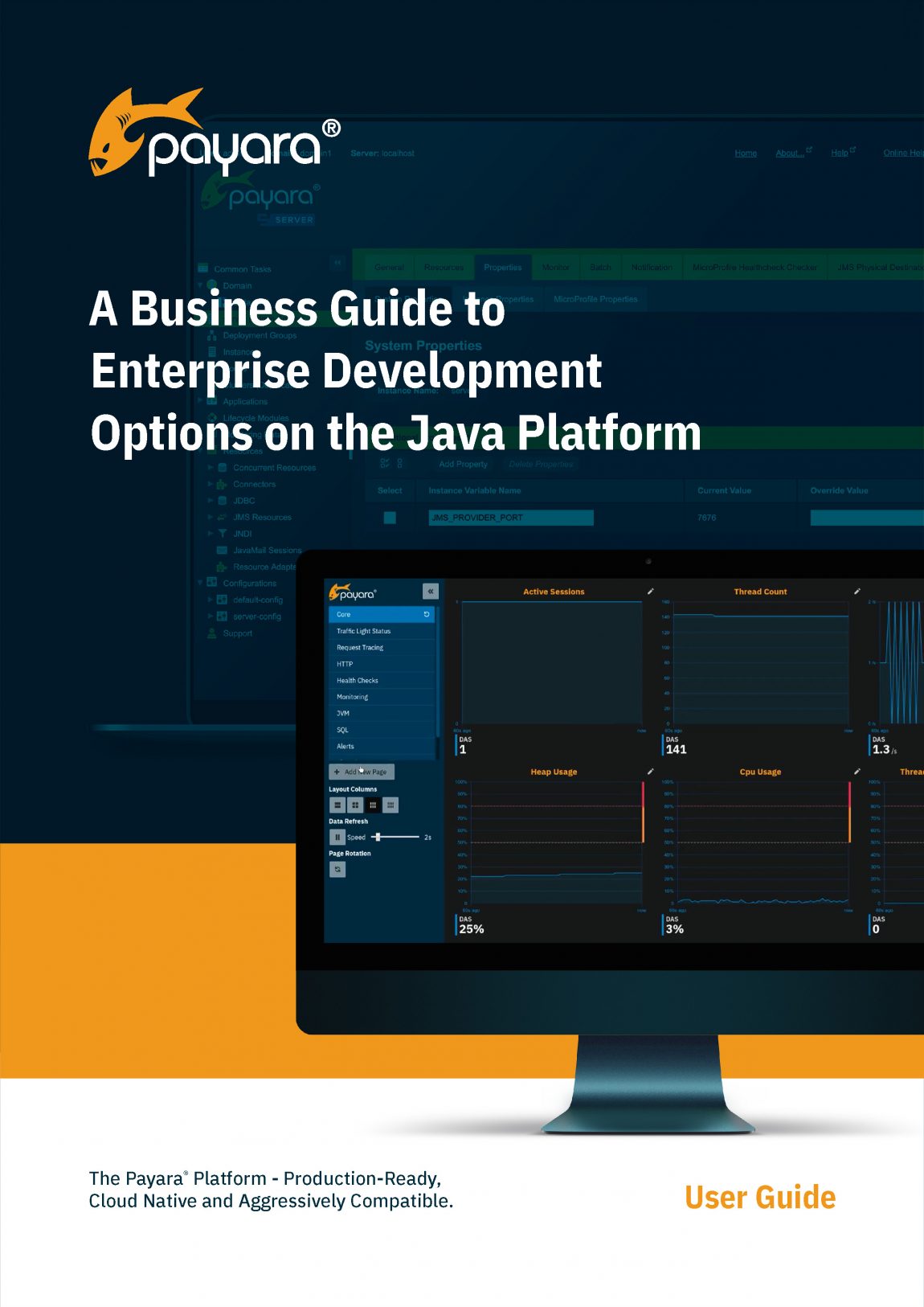 A Business Guide to Enterprise Development Options