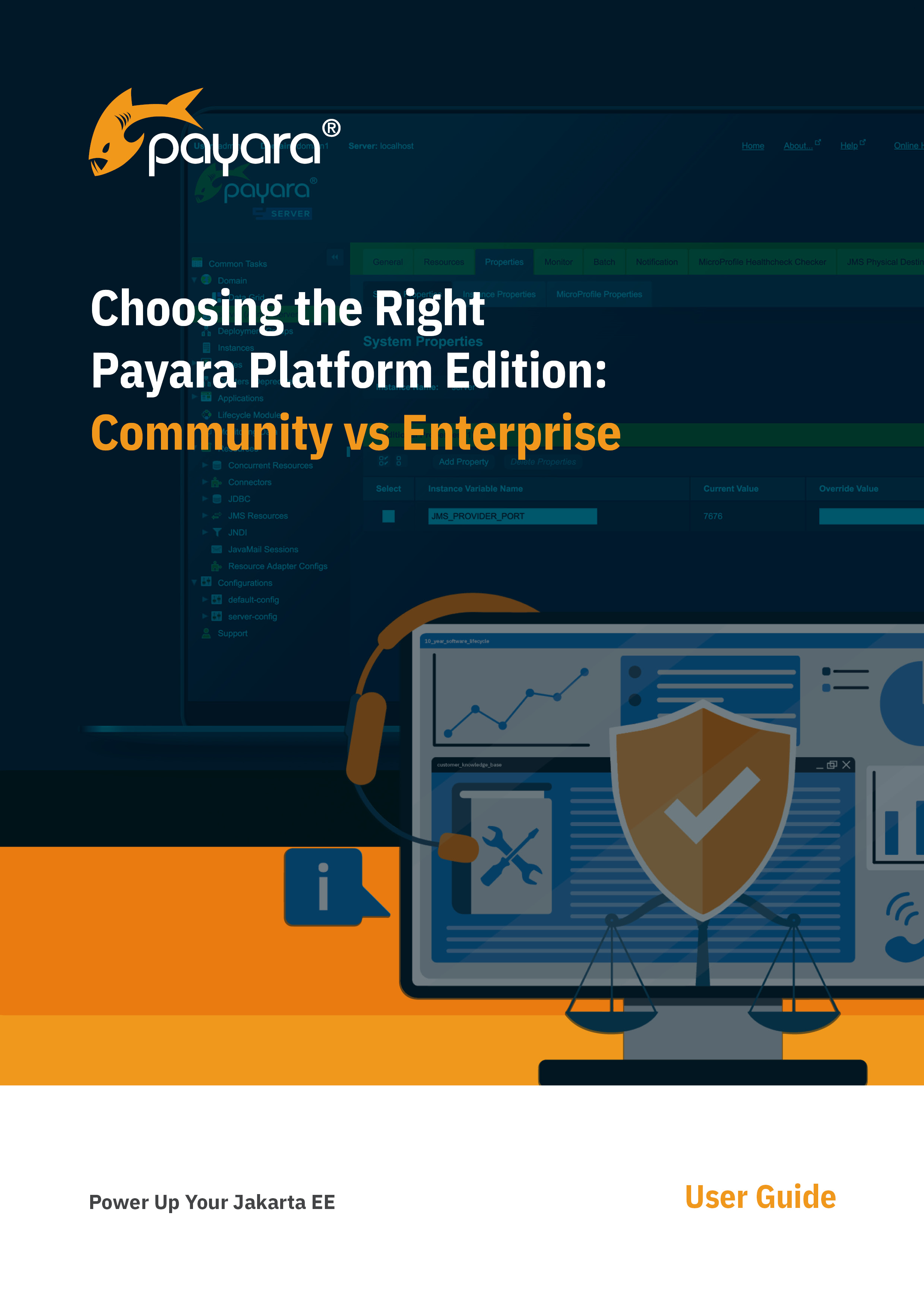 choosing the right payara platform edition vs enterprise